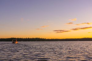 A boat with a canopy cruises on a lake at sunset with the shoreline in the distance