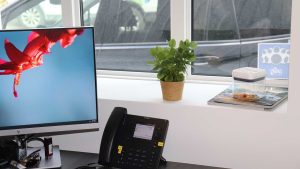 Lakeland Networks view of office with desk, computer monitor, plant and window