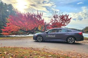A grey Honda car with the Lakeland Networks logo on it is parked in front of a vibrant red maple tree by the Muskoka River in Port Sydney, Ontario