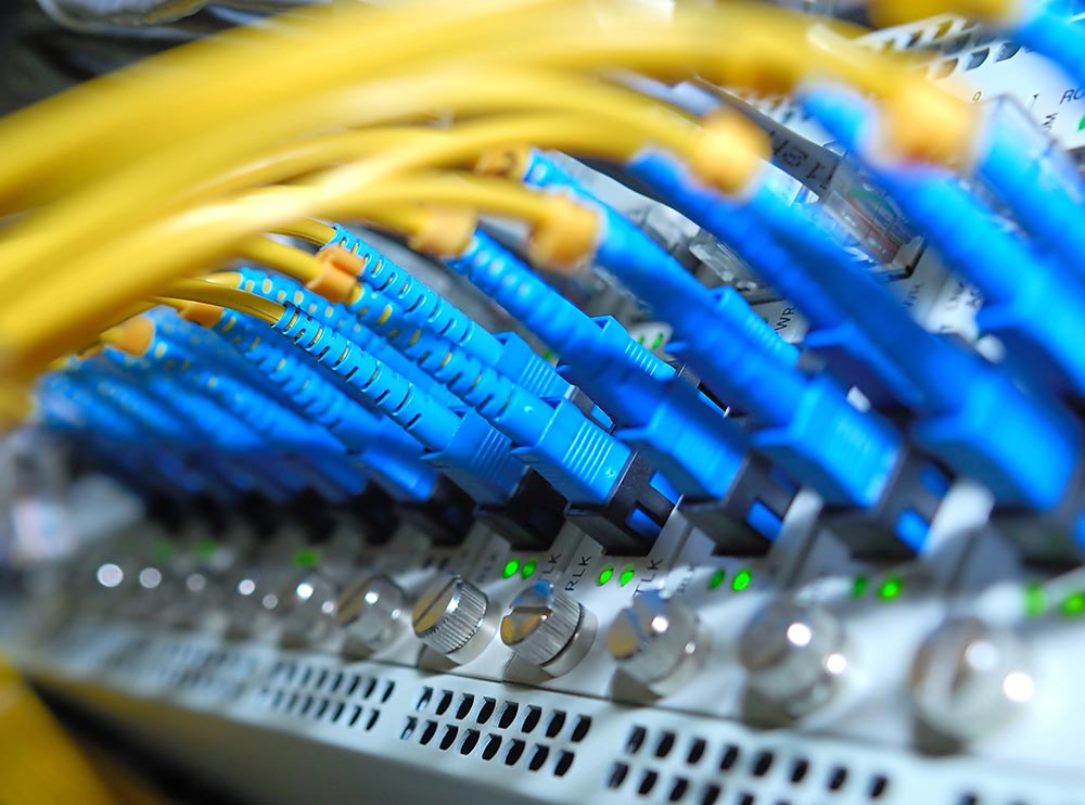 A closeup photo of yellow network cables with blue connectors, plugged into a server.